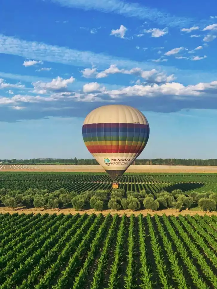 Mendoza Balloons