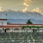 Bodega Vinorum - Finca Altieri