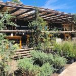 El Nene casa de café