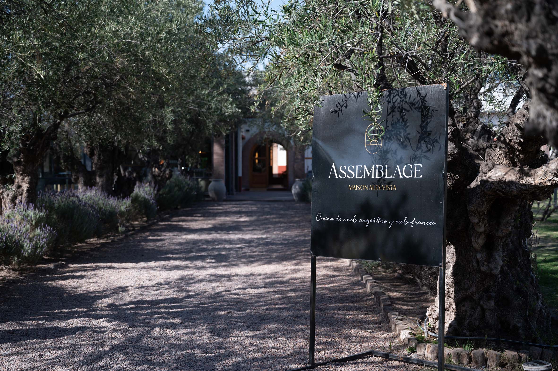 Assemblage-Alta-Vista.jpg