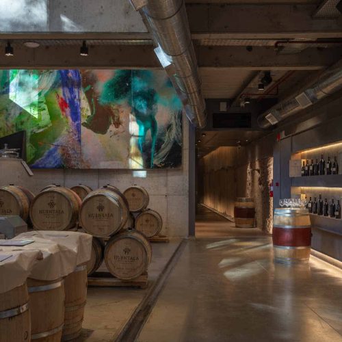 Hualta Winery Hotel Mendoza arte